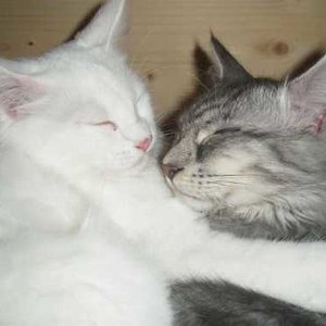 Wirhaben uns sooooooo lieb!!!