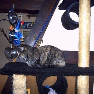 Hexe Die Omi (17 Jahre)