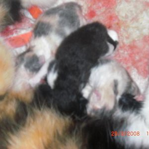 Erstmal Kraft tanken