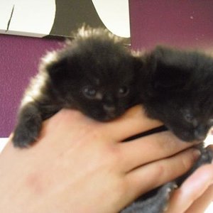 a19a0nez69tatjmoaip4g4lhg9j