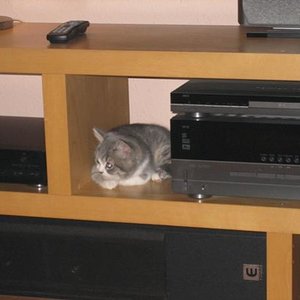 Orte, die man besser umgehen sollte