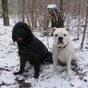 Kim&Roxy im Winter 08