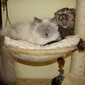 Wir sind ja soooooooooooooooo müde!!!