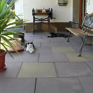 Endlich Frühling!!
Aber wir bewachen den Hauseingang gut!