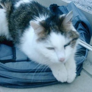 Aufnahme aud unserm Balkon heute um 10.41