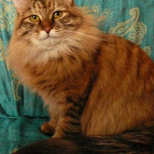 Bin ich nicht schööön