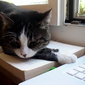 n1218826542 30066213 6986