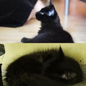 Mathilda beim Spielen und Schlafen - unter der Badewanne.