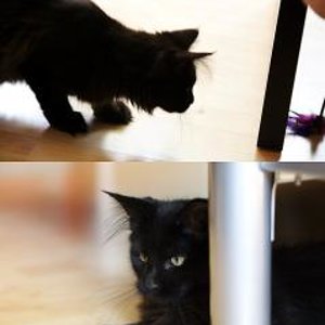 Mathilda beim Spielen.