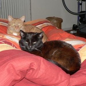 Eines der letzten Bilder meiner Süssen