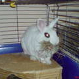 Das ist meine Prinzessin 4 Jahre alt und die beste Freundin 
von Hexe ( kuscheln immer mit einander )