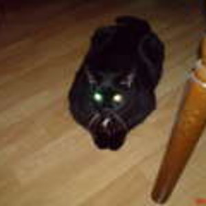 Endlich ein kühles plätzchen gefunden