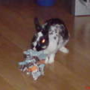 Papier ist doch was schönes