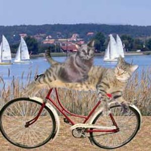 Moppel und DJ auf großer Tour