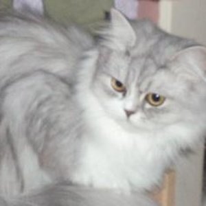 Fräulein Smilla im März 2009