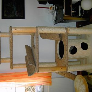 er ist leider noch nicht ganz fertig.stämme sind noch nicht alle mit sisal bezogen.