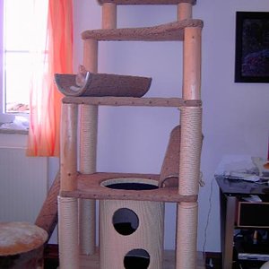 er ist leider noch nicht ganz fertig,das sisal um die oberen stämme ist ausgegangen aber bestellt.