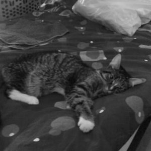 Mein kleiner Engel am 26.04.09