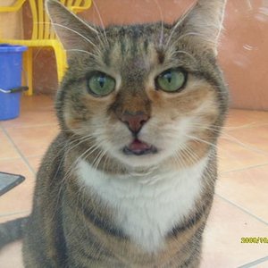 Emily will wieder rein...