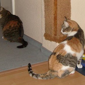 Was gibt's denn heute Leckeres?