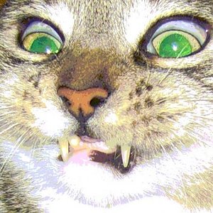 Friedrich`s Geburtstag 2008