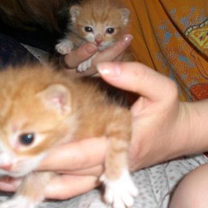 Fuchsi vorn und Bubi hinten. 
Sind sie nicht süß?;-)