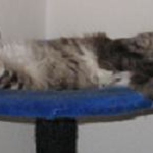 Jimmy (eigentlich hängt mein Kopf immer nach unten aber Dosi macht sich sorgen um meine Durchblutung -.-)