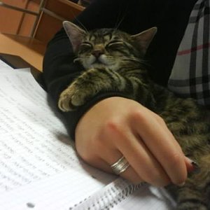 Da bin ich im Arm vom Lehrmädchen eingeschlafen, weil ich sooo müde vom spielen war. *gäääähhnn*