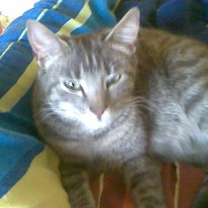 Das ist die Mama Freya,kurz vor der geburt