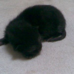 Das ist Baby Nummer 3