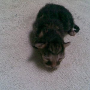 Das ist Baby Nummer 2