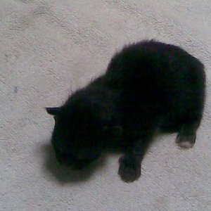 Das Baby 1 unser ehemaliges Sorgenkind,nurn wird es ein Sonnenschein