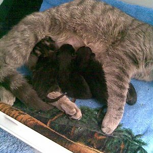 Und das alle an der Milchbar:-)