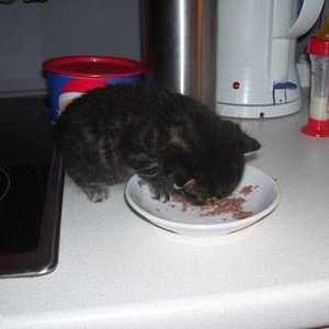 Das bin ich beim ersten Versuch der "Festen-Nahrungs-Aufnahme".