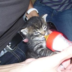 Da krieg ich grad mein leckeres Flaschi *schmatz*