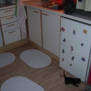 So, Magnet vom Kühlschrank runtergetan, Auftrag erledigt, ich geh wieder und such was neues zum Anstellen *grins*.