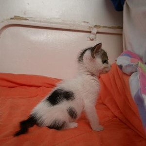 Meine Schokoladenseite