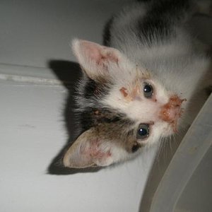 An meinen Tischmanieren werde ich noch arbeiten