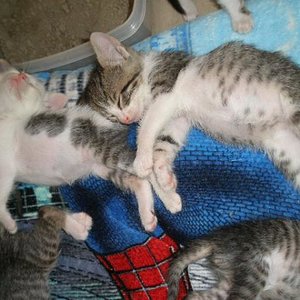 Nach unserer ersten Fressorgie,