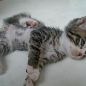 Jetzt glaubt unsere Mama bestimmt wir haben Flöhe und Sie wird wieder mit dem blöden Läusekamm auftauchen