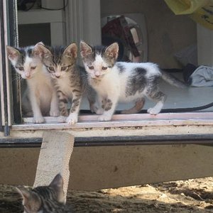 Tja,wir sind jetzt schon große Jungs und schauen mal was  draußen so abläuft