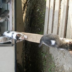 Erste Schritte nach draußen