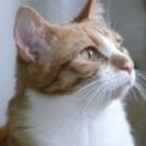 2960 1092884536617 1661643894 226001 7306702 s