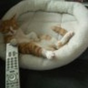 s1661643894 53601 3659