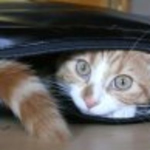 s1661643894 53600 4826