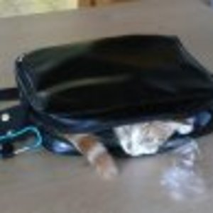 s1661643894 53599 4569