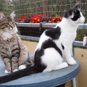 Was fliegt denn da vorbei.....??