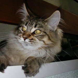 Zora ein Ausblick von der Treppe