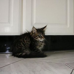 Yokun ist unser neues Famielienmitglied