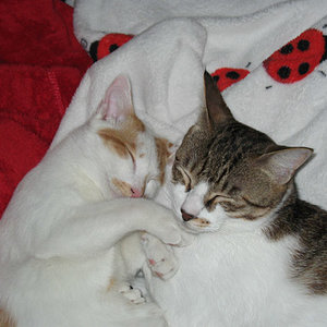 1.3.09 unsere 2 Jungs...